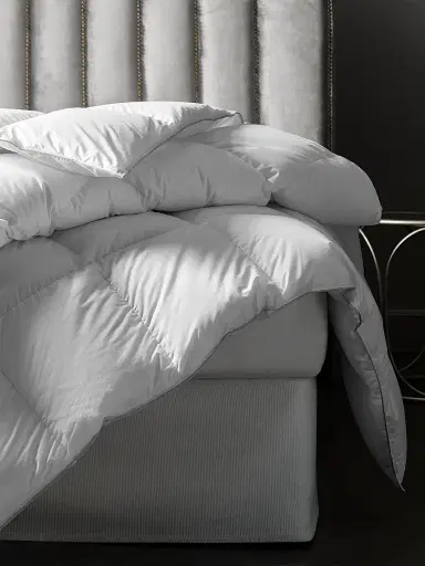 Togas Nobilis Comforter & Pillow Collection - White California King | Thumbnail 1 Togas Nobilis Comforter & Pillow Collection - White California King | Thumbnail 1