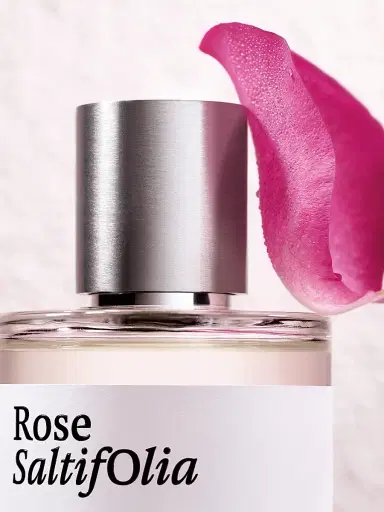Maison Crivelli Rose Saltifolia Eau De Parfum 3.4 oz | Thumbnail 6 Maison Crivelli Rose Saltifolia Eau De Parfum 3.4 oz | Thumbnail 6