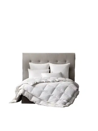 Togas Kaiser Comforters & Pillows Collection | Thumbnail 1