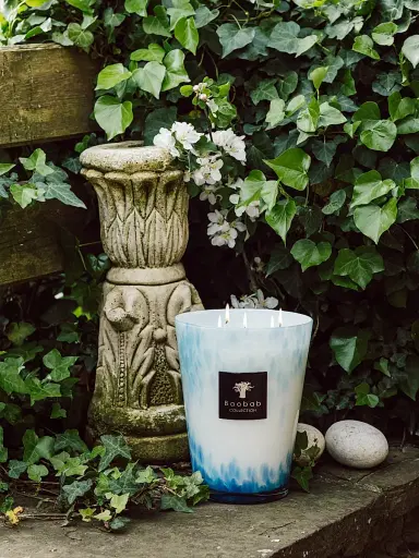 Baobab Collection Eden Max10 Seaside Candle | Thumbnail 2