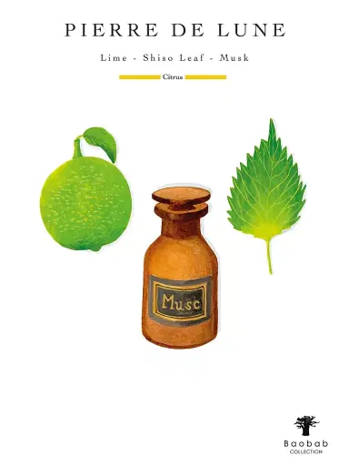 Baobab Collection Les Prestigieuses Max 24 Pierre De Lune Candle Medium | Thumbnail 6 Baobab Collection Les Prestigieuses Max 24 Pierre De Lune Candle Medium | Thumbnail 6