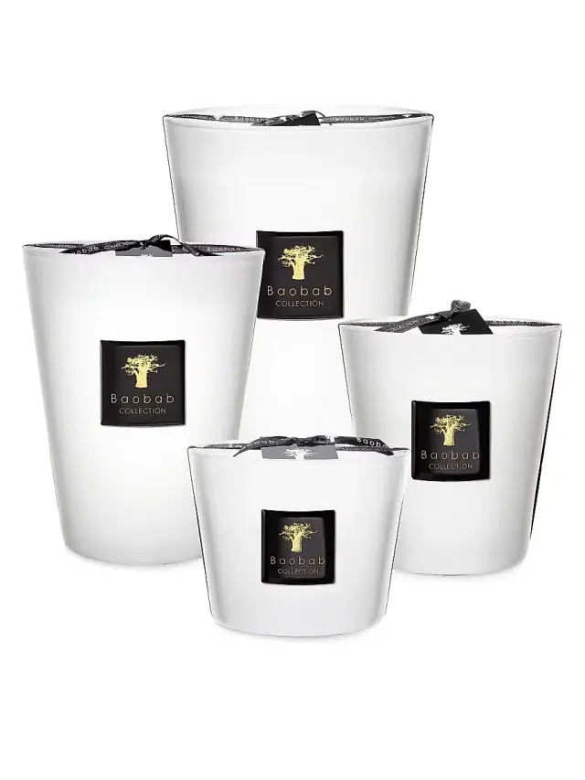 Baobab Collection Les Prestigieuses Max 24 Pierre De Lune Candle Medium