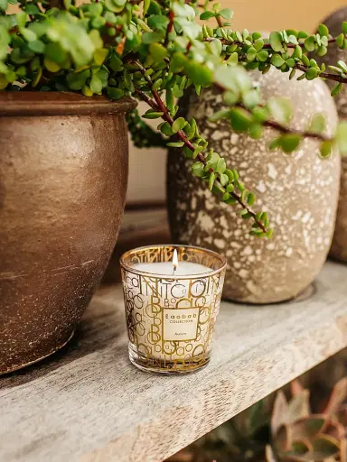 Baobab Collection My First Baobab Aurum Candle - White | Thumbnail 3