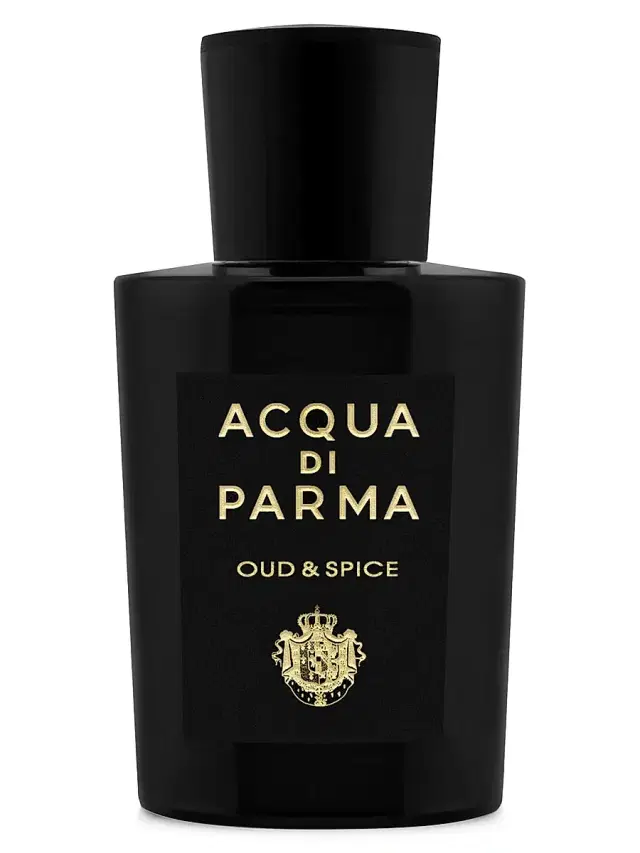 Acqua di Parma Men's Oud & Spice Eau De Parfum 6 oz