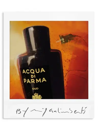 Acqua di Parma Men's Oud Eau de Parfum - Size 6 oz | Thumbnail 5 Acqua di Parma Men's Oud Eau de Parfum - Size 6 oz | Thumbnail 5