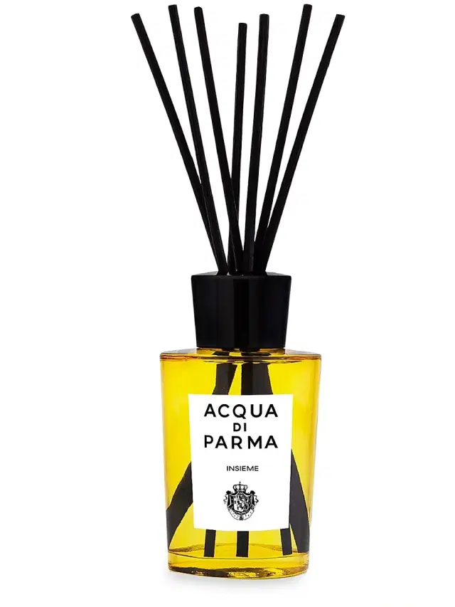 Home Insieme Diffuser