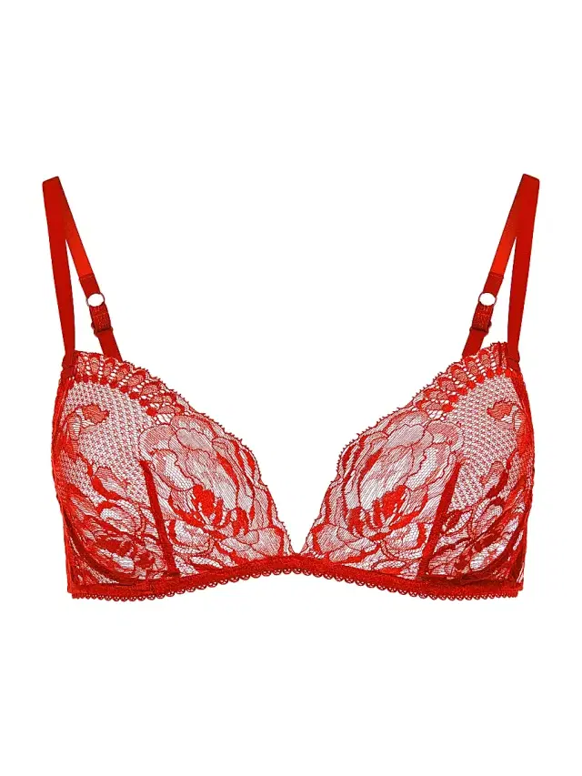 Women's Brigitta Floral Lace Triangle Bra - Red Lips
