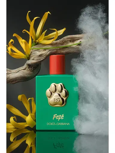 Dolce & Gabbana Women's Fefé Fragrance Mist For Dogs 3.4 oz | Thumbnail 3 Dolce & Gabbana Women's Fefé Fragrance Mist For Dogs 3.4 oz | Thumbnail 3