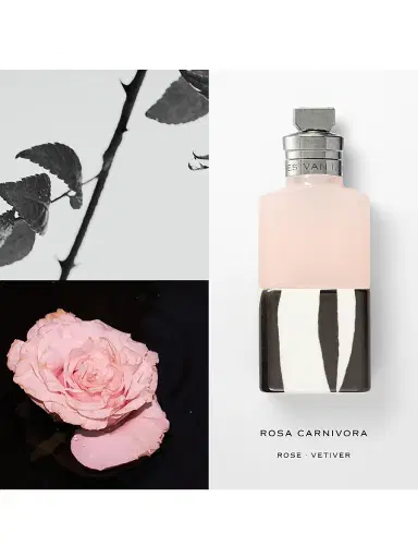 Dries Van Noten Rosa Carnivora Eau de Parfum 3.4 oz | Thumbnail 2 Dries Van Noten Rosa Carnivora Eau de Parfum 3.4 oz | Thumbnail 2