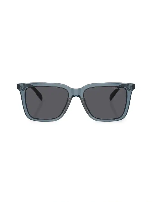 COACH Men's 0HC8385U 54MM Butterfly Sunglasses - Rose Gold