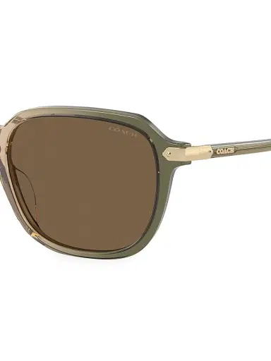 COACH Men's HC8383U 55MM Semi-Metal Sunglasses - Green | Thumbnail 3 COACH Men's HC8383U 55MM Semi-Metal Sunglasses - Green | Thumbnail 3
