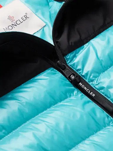 Moncler Ortac Logo-Appliquéd Colour-Block Quilted Shell Down Gilet - Men | Thumbnail 4
