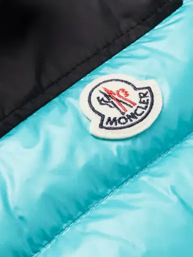 Moncler Ortac Logo-Appliquéd Colour-Block Quilted Shell Down Gilet - Men | Thumbnail 5
