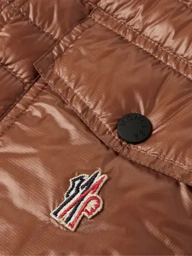 Moncler Grenoble Ollon Logo-Appliquéd Quilted Polartec® Alpha® Ripstop Down Gilet - Men | Thumbnail 5