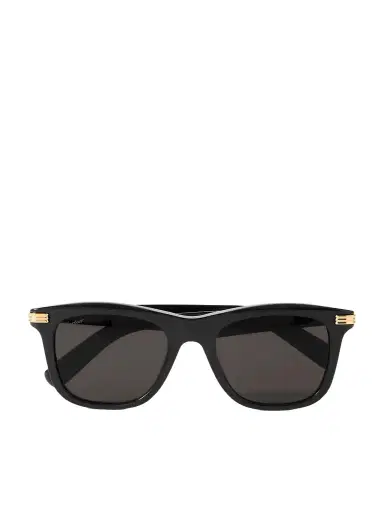 Cartier Eyewear D-Frame Acetate Sunglasses - Men | Thumbnail 1 Cartier Eyewear D-Frame Acetate Sunglasses - Men | Thumbnail 1