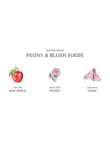 Jo Malone London Peony and Blush Suede Scented Candle | Thumbnail 4