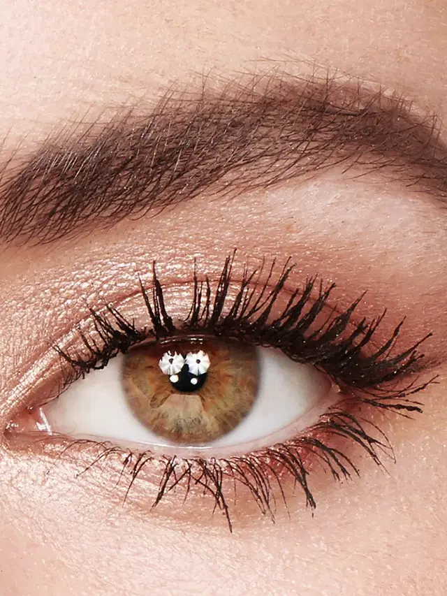 Women's Brighter Eye Filter Eyeshadow Palette