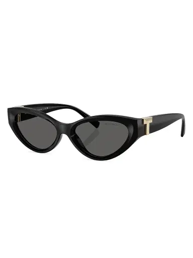 Tiffany & Co. Women's Tiffany T 54MM Cat-Eye Sunglasses | Thumbnail 1
