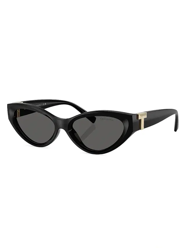 Tiffany & Co. Women's Tiffany T 54MM Cat-Eye Sunglasses - Dark Grey Black