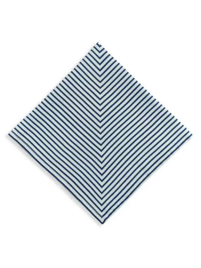 Concorde 4-Piece Stripe Linen Sateen Napkin Set