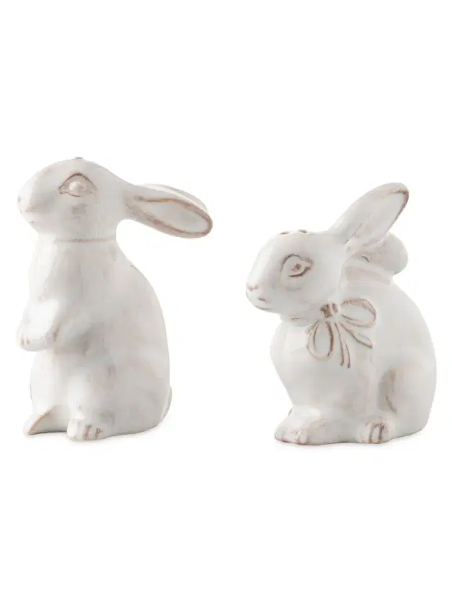 Clever Creatures 2-Piece Bunny Salt & Pepper Shaker Set - White Wash