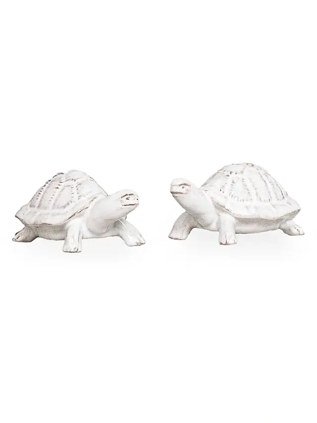 Clever Creatures 2-Piece Turtle Salt & Pepper Shaker Set - White Wash