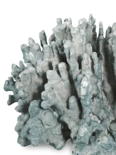 Regina Andrew Coastal Chic Large Coral Art Piece - Blue | Thumbnail 1 Regina Andrew Coastal Chic Large Coral Art Piece - Blue | Thumbnail 1