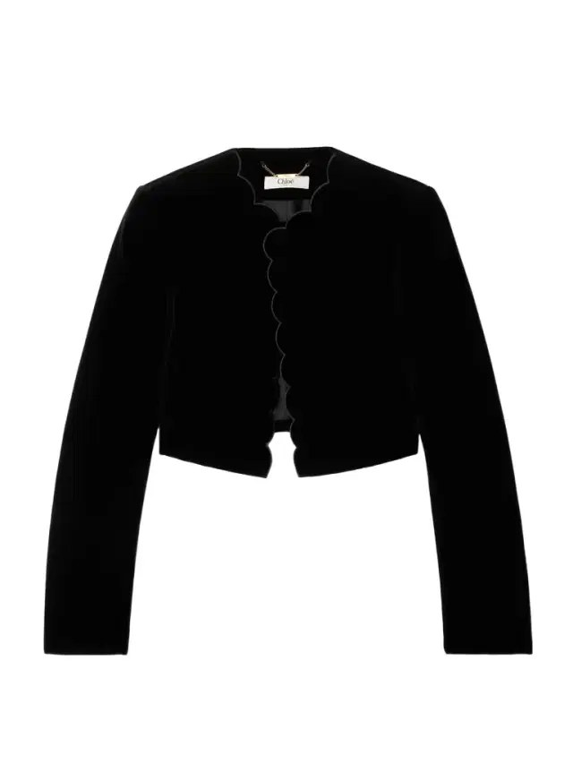 Cropped Scalloped Silk-velour Jacket