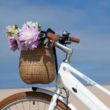 Bluejay NEW! Bluejay Premiere Lite - Modern White Electric Bike | Thumbnail 2