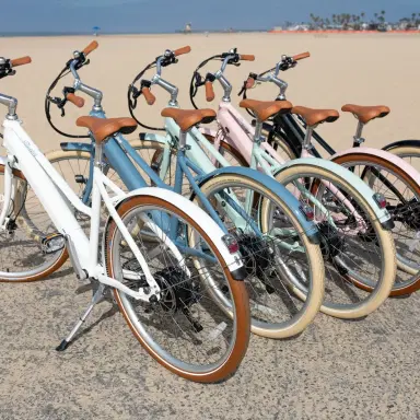 Bluejay NEW! Bluejay Premiere Lite - Modern White Electric Bike | Thumbnail 6