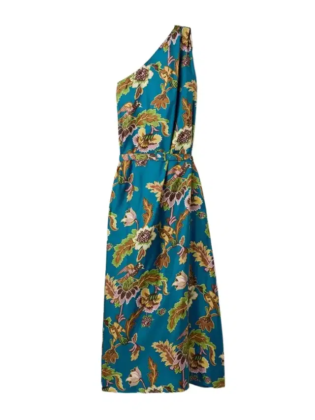 Roy One-shoulder Printed Silk-twill Maxi Dress