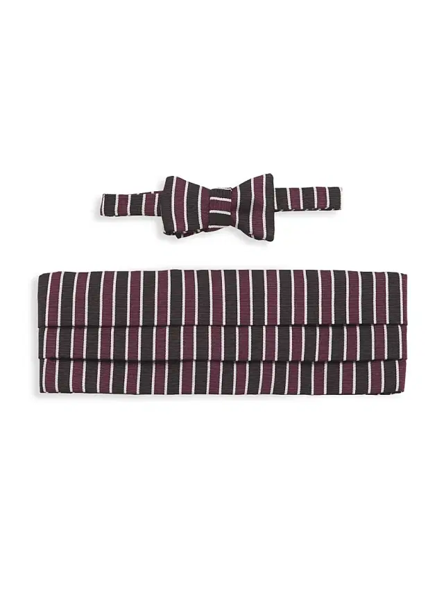 Paul Stuart Men's Silk Striped Bow Tie & Cummerbund Set - Purple Black