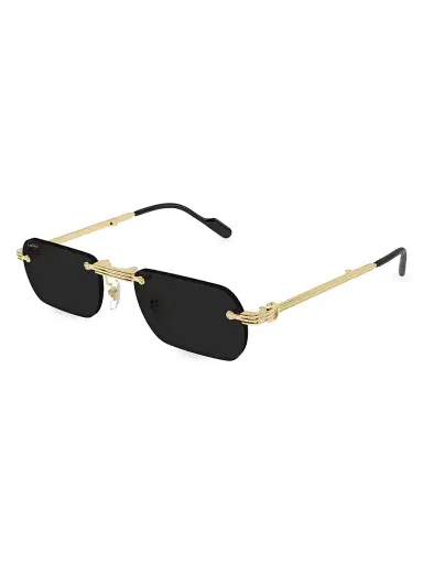 Cartier Men's Première De CT0499S 54MM Rectangular Sunglasses | Thumbnail 1 Cartier Men's Première De CT0499S 54MM Rectangular Sunglasses | Thumbnail 1