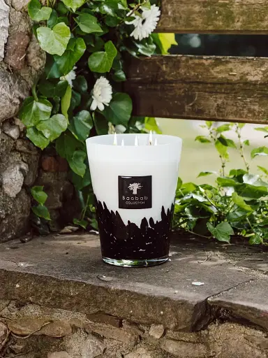 Baobab Collection Feathers Max16 Candle Medium | Thumbnail 2