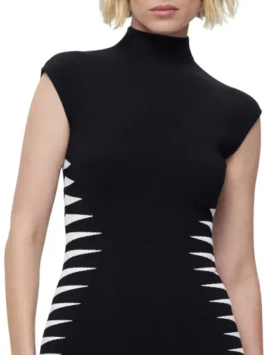 Hervé Léger Women's Colorblock Intarsia-Knit Midi-Dress - Black Alabaster | Thumbnail 8