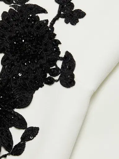 Teri Jon by Rickie Freeman Women's Floral Appliqué Gown - White Black - Size 14 | Thumbnail 7