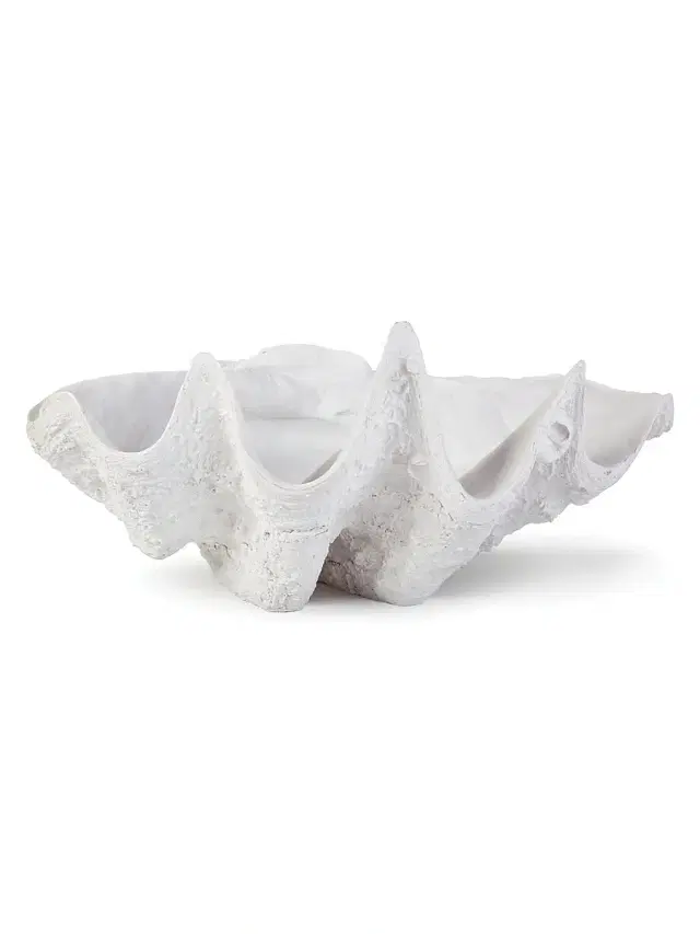 Bimini Clam