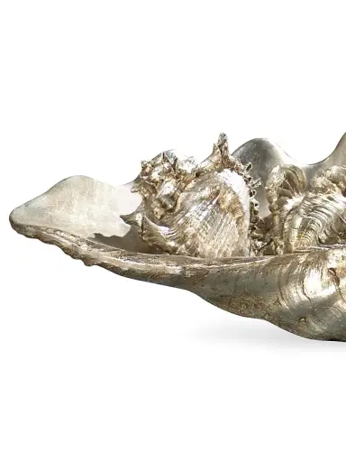 Regina Andrew Medium Replica Clam Shell Bowl | Thumbnail 4 Regina Andrew Medium Replica Clam Shell Bowl | Thumbnail 4