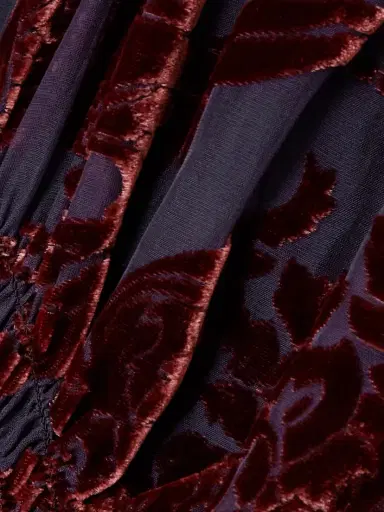 La DoubleJ Camerino Devoré-velvet Maxi Dress | Thumbnail 4