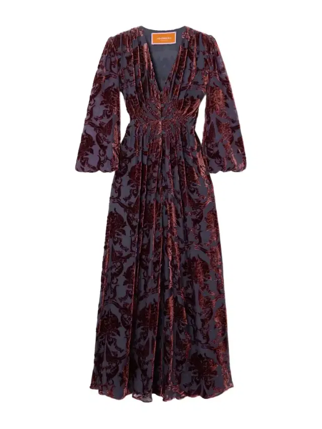 Camerino Devoré-velvet Maxi Dress