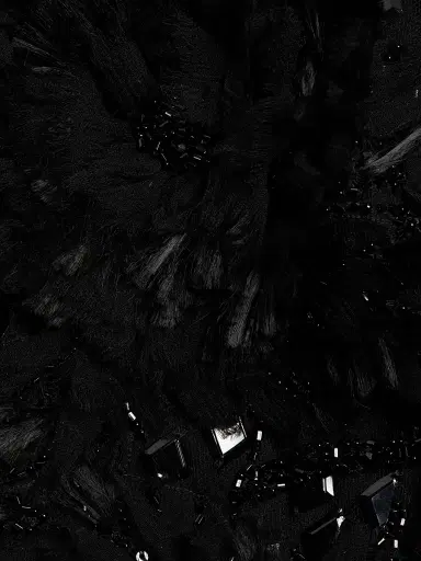 Alberta Ferretti Women's Sequined Party Pants | Thumbnail 7