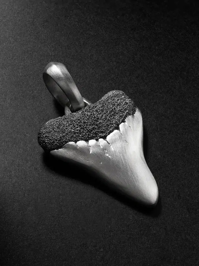 Shark Tooth Sterling Silver Amulet - Men