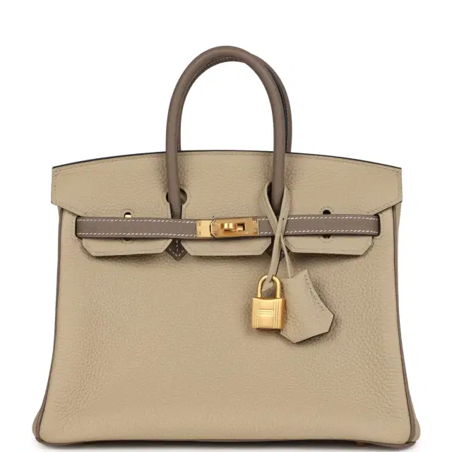hermes Hermes Special Order (HSS) Birkin 25 Etoupe/Trench Togo Brushed Gold Hardware