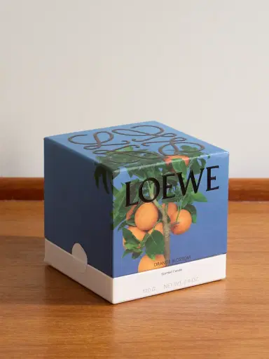 LOEWE PERFUMES Orange Blossom Small Scented Candle, 170g - Men | Thumbnail 3