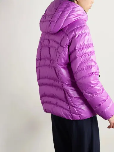 Moncler Narlay Hooded Quilted Ripstop Down Jacket | Thumbnail 4
