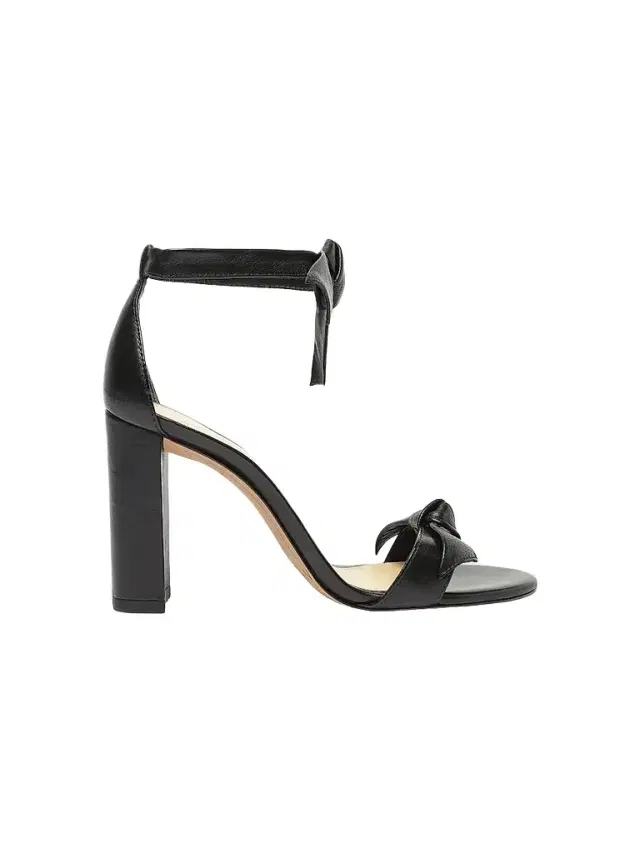 Alexandre Birman Women's Clarita 90MM Leather Tie Block-Heel Sandals - Black