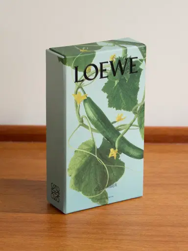 LOEWE PERFUMES Home Fragrance - Cucumber, 150ml - Men | Thumbnail 3