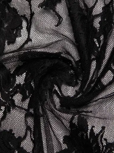 Kiki de Montparnasse Women's Dominique Sheer Lace Midi-Dress - Black - Size 8 | Thumbnail 2 Kiki de Montparnasse Women's Dominique Sheer Lace Midi-Dress - Black - Size 8 | Thumbnail 2