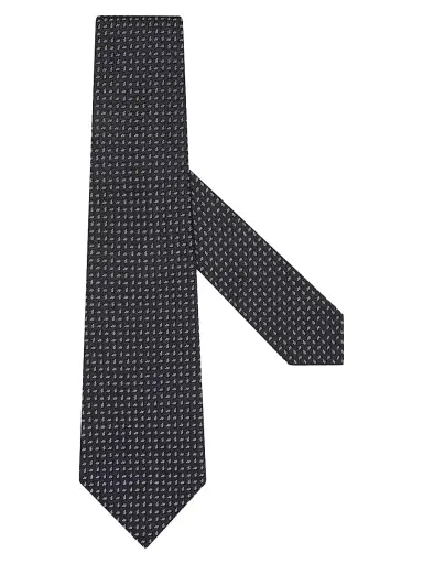 Zegna Men's Silk Tie | Thumbnail 1