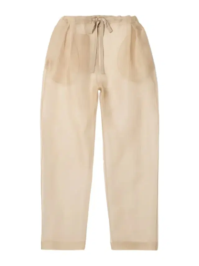 Trenton Pleated Silk-organza Tapered Pants